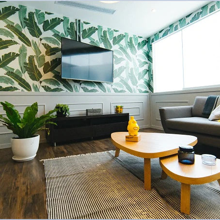 How to Connect TV to Projector?